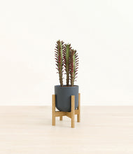 Load image into Gallery viewer, Iron Gray stand:bamboo