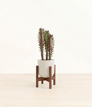 Load image into Gallery viewer, Natural Bamboo stand:walnut