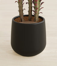 Load image into Gallery viewer, Black stand:all