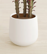 Load image into Gallery viewer, White stand:all