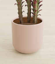 Load image into Gallery viewer, Sandy Pink stand:all