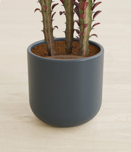 Load image into Gallery viewer, Iron Gray stand:all