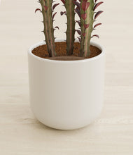 Load image into Gallery viewer, Cotton White stand:all