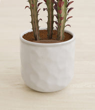 Load image into Gallery viewer, Hammered Ivory stand:all