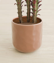 Load image into Gallery viewer, Hammered Peach Pink stand:all