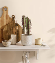 Load image into Gallery viewer, Hammered Ivory