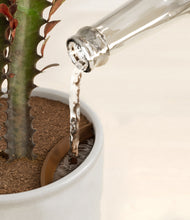 Load image into Gallery viewer, Hammered Ivory stand:all