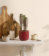 Load image into Gallery viewer, Striped Cherry Red