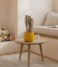 Load image into Gallery viewer, Mustard