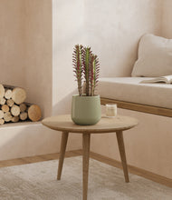 Load image into Gallery viewer, Turquoise