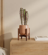 Load image into Gallery viewer, Calm Rose stand:walnut