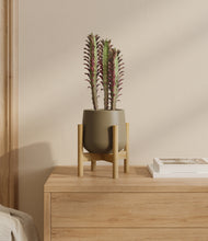 Load image into Gallery viewer, Olive stand:bamboo