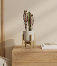 Load image into Gallery viewer, Cotton White stand:bamboo