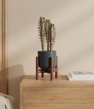 Load image into Gallery viewer, Iron Gray stand:bamboo