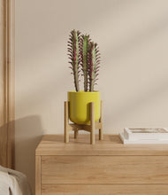 Load image into Gallery viewer, Key Lime Yellow stand:bamboo