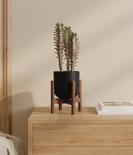 Load image into Gallery viewer, Stone Black stand:walnut