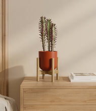 Load image into Gallery viewer, Earth Red stand:bamboo