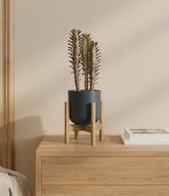 Load image into Gallery viewer, Iron Gray stand:bamboo