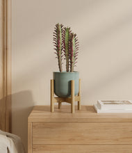 Load image into Gallery viewer, Reactive Aqua stand:bamboo