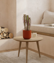 Load image into Gallery viewer, Earth Red