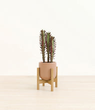 Load image into Gallery viewer, Striped Peach Pink stand:bamboo