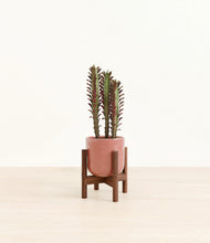 Load image into Gallery viewer, Hammered Rose Pink stand:walnut