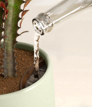 Load image into Gallery viewer, Turquoise stand:all