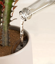 Load image into Gallery viewer, Earthy stand:all