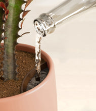 Load image into Gallery viewer, Calm Rose stand:all