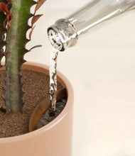 Load image into Gallery viewer, Sandy Pink stand:all