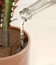 Load image into Gallery viewer, Hammered Peach Pink stand:all