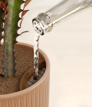 Load image into Gallery viewer, Striped Peach Pink stand:all