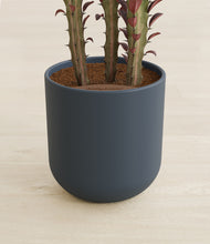 Load image into Gallery viewer, Iron Gray stand:all