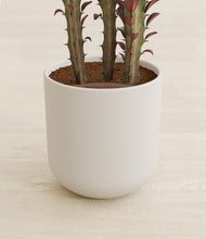 Load image into Gallery viewer, Natural Bamboo stand:all