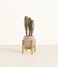 Load image into Gallery viewer, Eternal Gray stand:bamboo