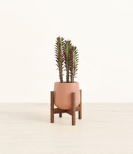 Load image into Gallery viewer, Calm Rose stand:walnut