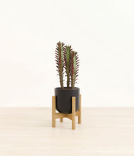 Load image into Gallery viewer, Stone Black stand:bamboo