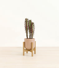 Load image into Gallery viewer, Glossy Pink stand:bamboo