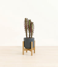 Load image into Gallery viewer, Iron Gray stand:bamboo