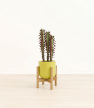 Load image into Gallery viewer, Key Lime Yellow stand:bamboo