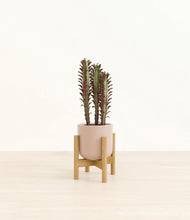 Load image into Gallery viewer, Sandy Pink stand:bamboo