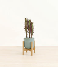 Load image into Gallery viewer, Reactive Aqua stand:bamboo