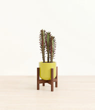 Load image into Gallery viewer, Key Lime Yellow stand:walnut