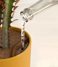 Load image into Gallery viewer, Sunset Orange stand:all