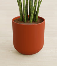 Load image into Gallery viewer, Earth Red stand:all