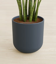 Load image into Gallery viewer, Iron Gray stand:all