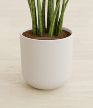 Load image into Gallery viewer, Natural Bamboo stand:all