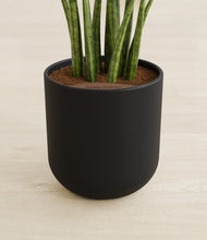 Load image into Gallery viewer, Stone Black stand:all