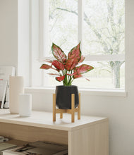 Load image into Gallery viewer, Black stand:bamboo