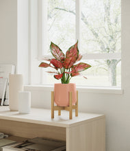 Load image into Gallery viewer, Calm Rose stand:bamboo